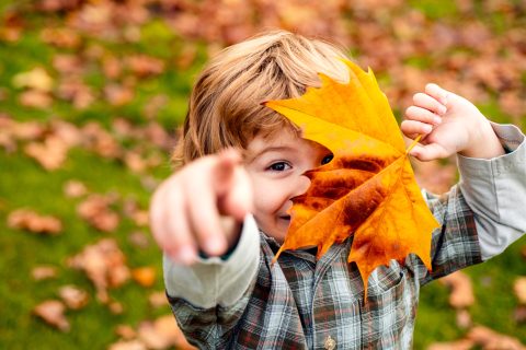 Autumnal,Mood.,Little,Child,Boy,In,Autumn,Orange,Leaves,,Outdoor